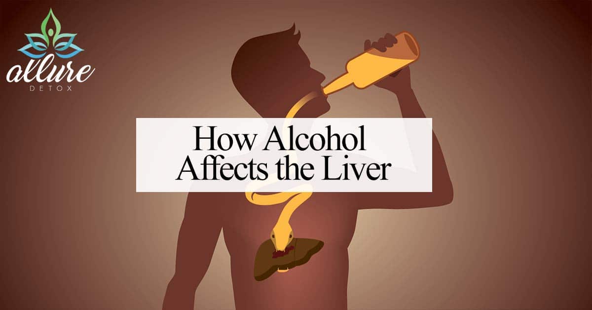 how-alcohol-affects-the-liver-alcoholism-help-allure-detox