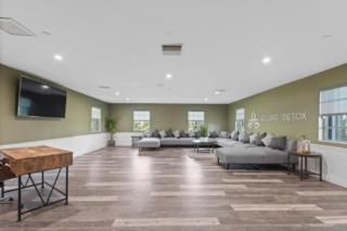 Allure Detox Group Therapy Room